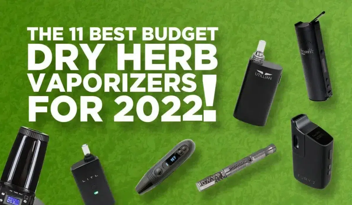 The 10 Best Budget Dry Herb Vaporizers for 2022 - Tools420 Vape Canada