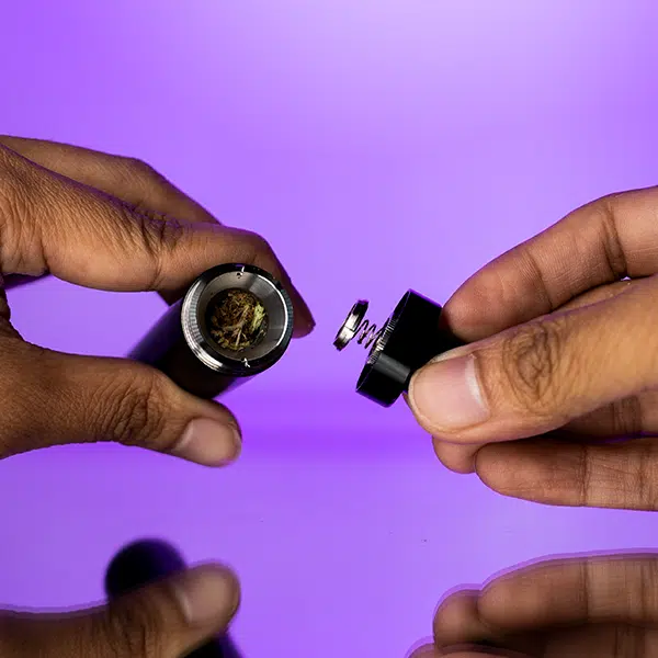Linx Eden Switch Chamber