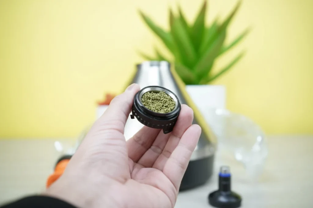Volcano Classic Weed