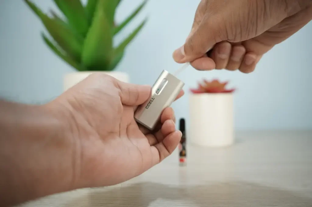 CCell Fino Review - Image 8
