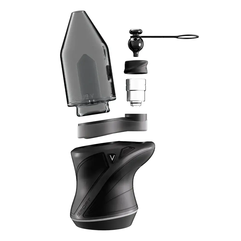 Focus V Carta Sport Black (4)