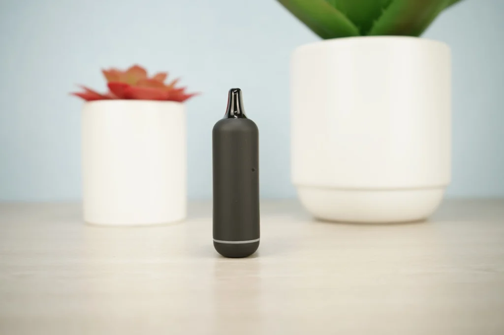 Litl Sneaky Review - Image 8