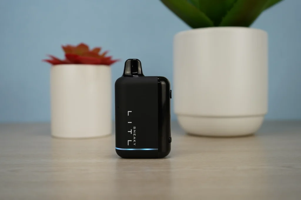 Litl Sneaky Review - Image 5
