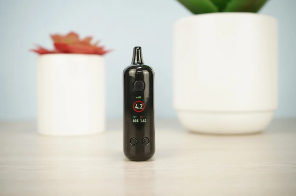 Litl Sneaky Review - Image 2