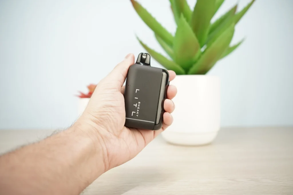 Litl Sneaky Review - Image 6