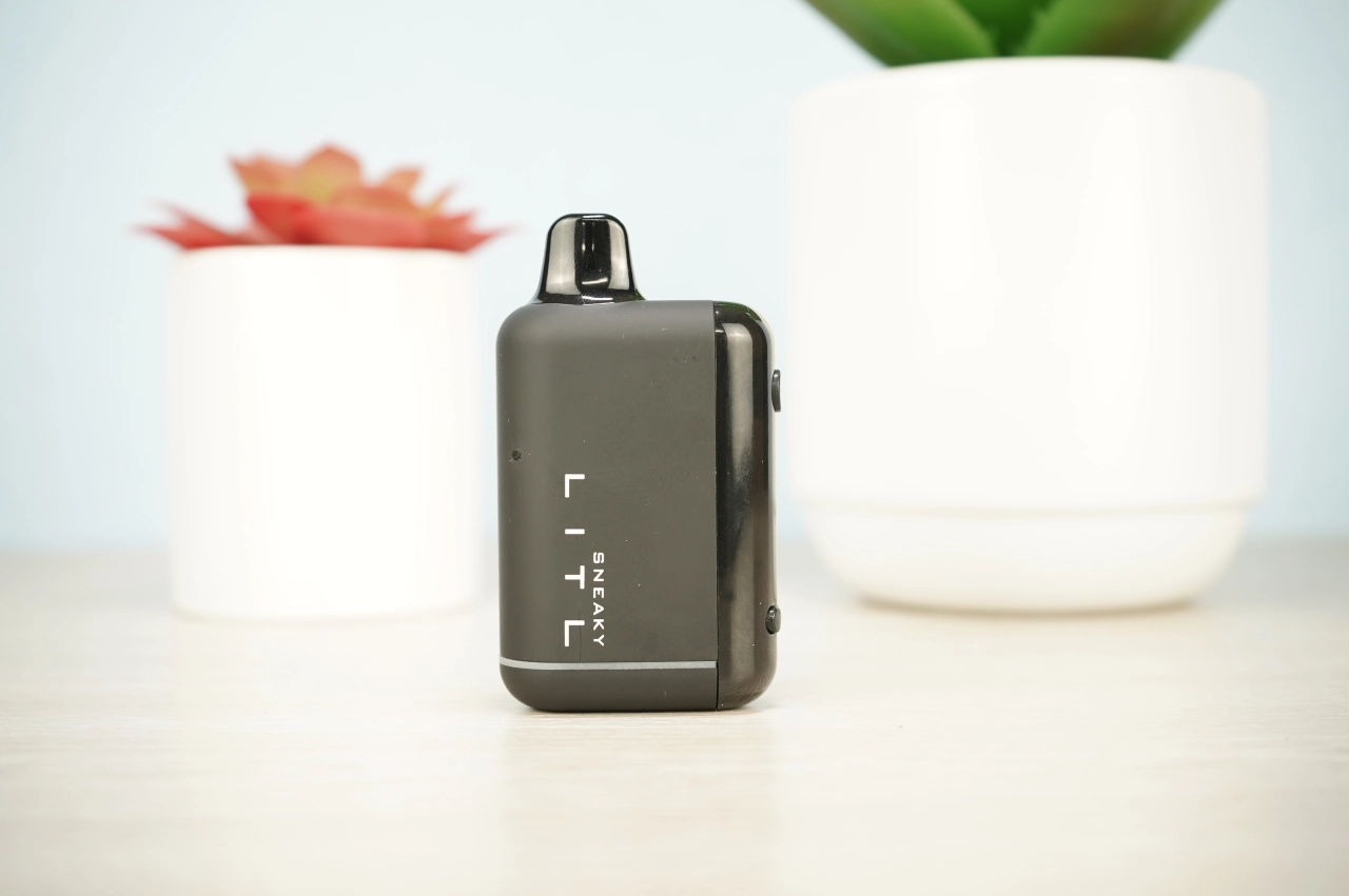 Litl Sneaky Review - Image 1